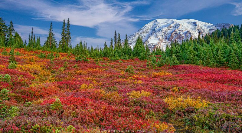 Heather Meadows & Artist Point (Mount Baker), Oct 1–10
