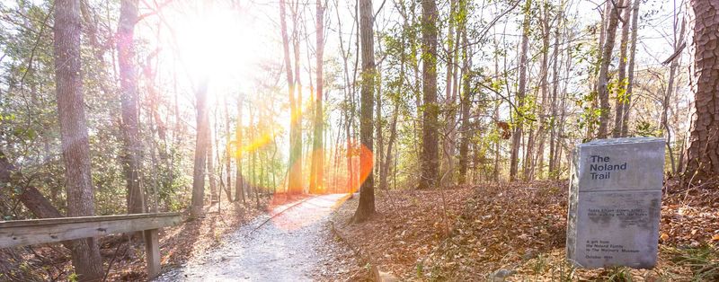 Noland Trail: Newport News' Forest Sanctuary
