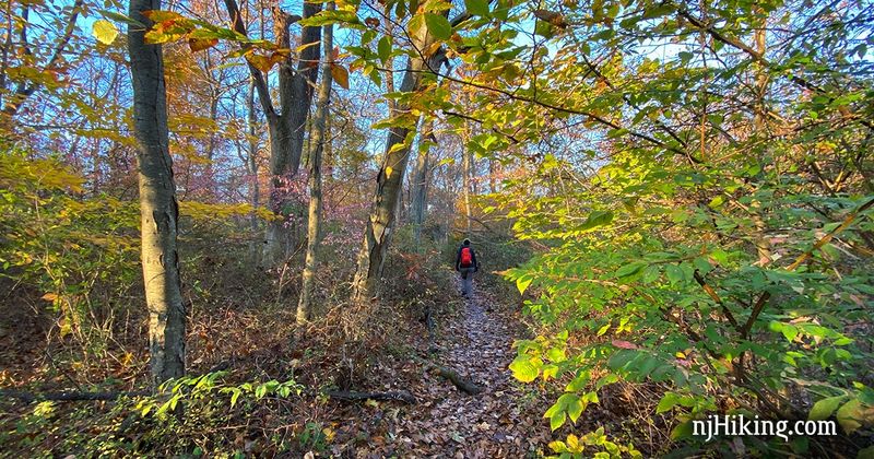 Sierra Trail (Watchung Reservation)
