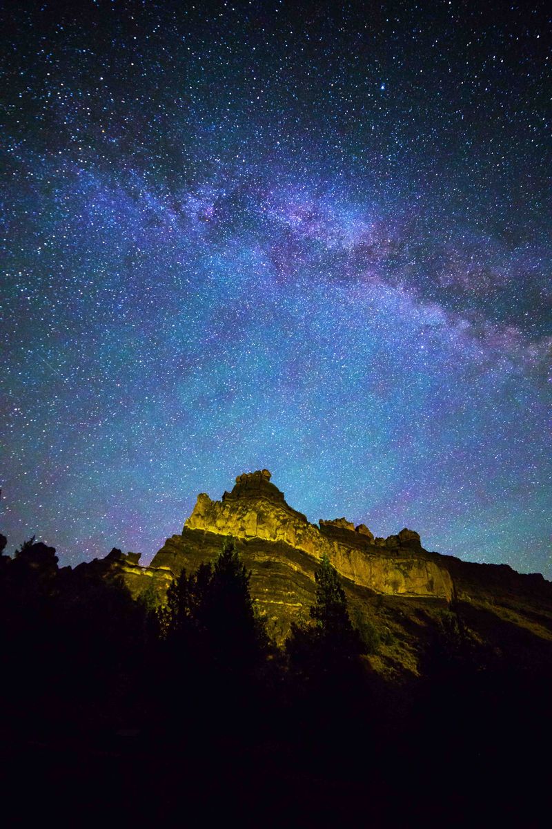 Camping Under Desert Stars