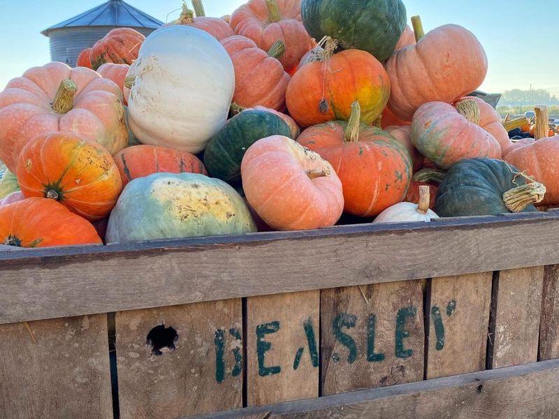 Beasley's Orchard: Historic Barn Marketplace