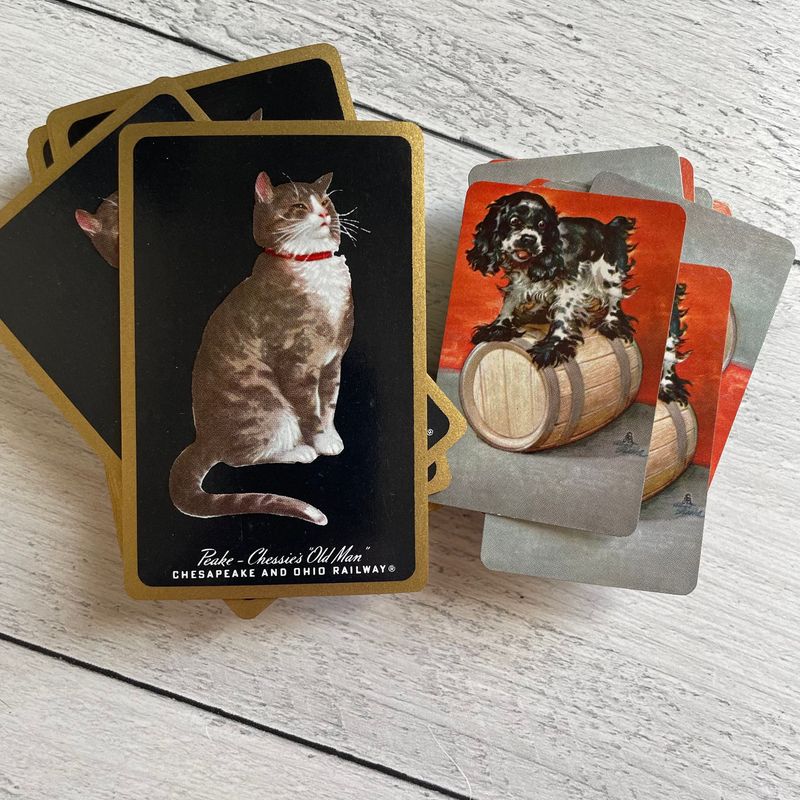 From Chessie the Railway Cat to Persian Royalty