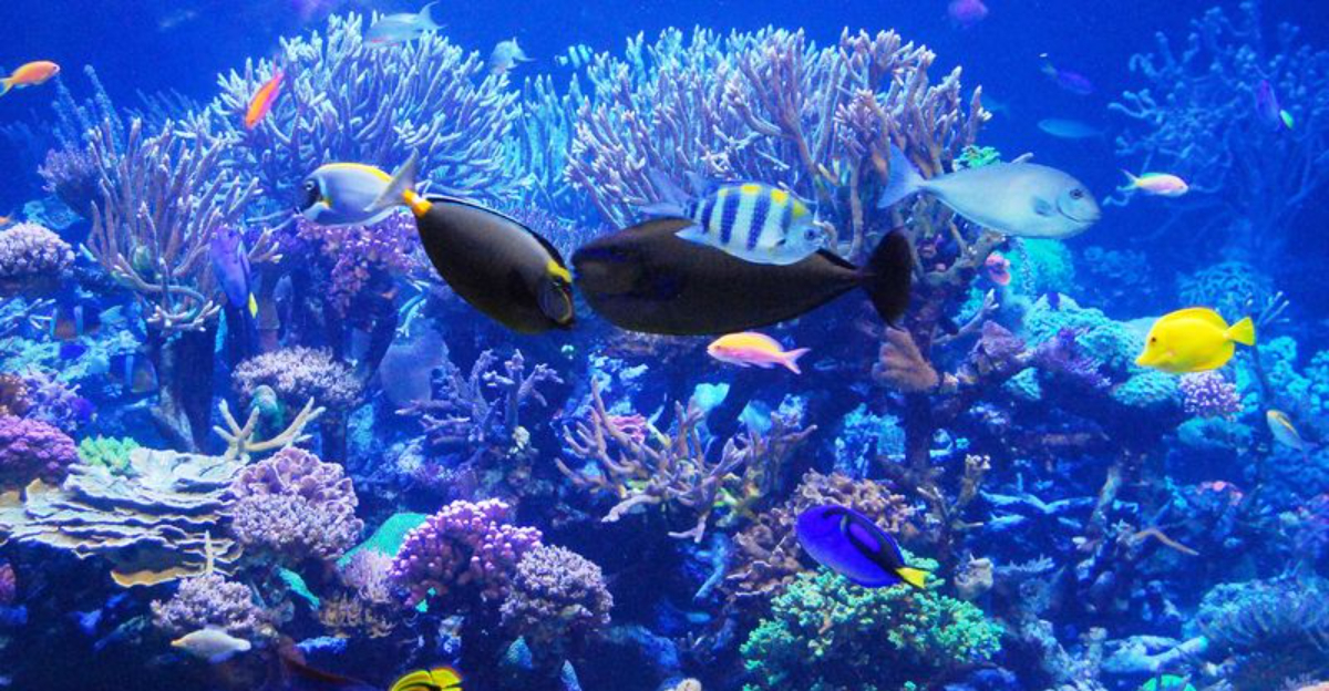 Why The Long Island Aquarium In New York Remains A Must-Visit After 25 Years