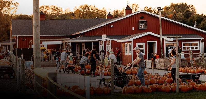 Gull Meadow Farms, Richland, Michigan