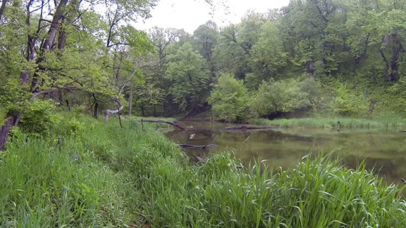 Stone State Park