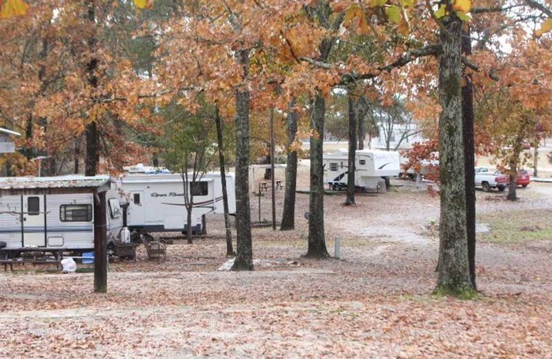 Campgrounds For Every Style