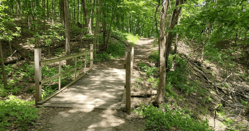 Family-Friendly Terrain for All Ages