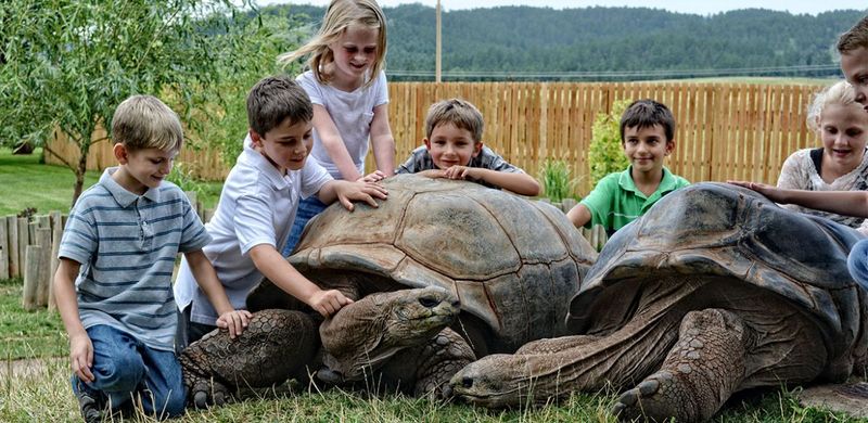 Reptile Gardens – Rapid City