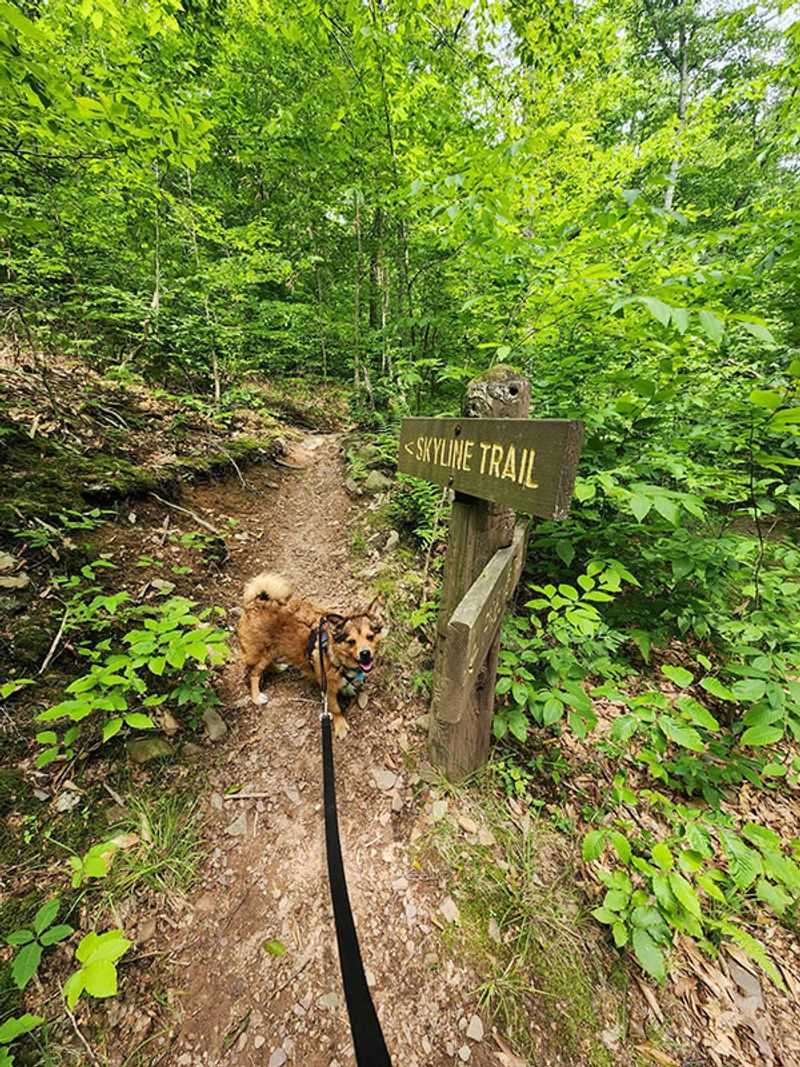 Forty Miles Of Trails