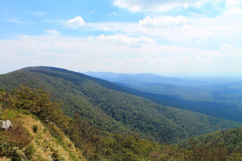 Queen Wilhelmina State Park