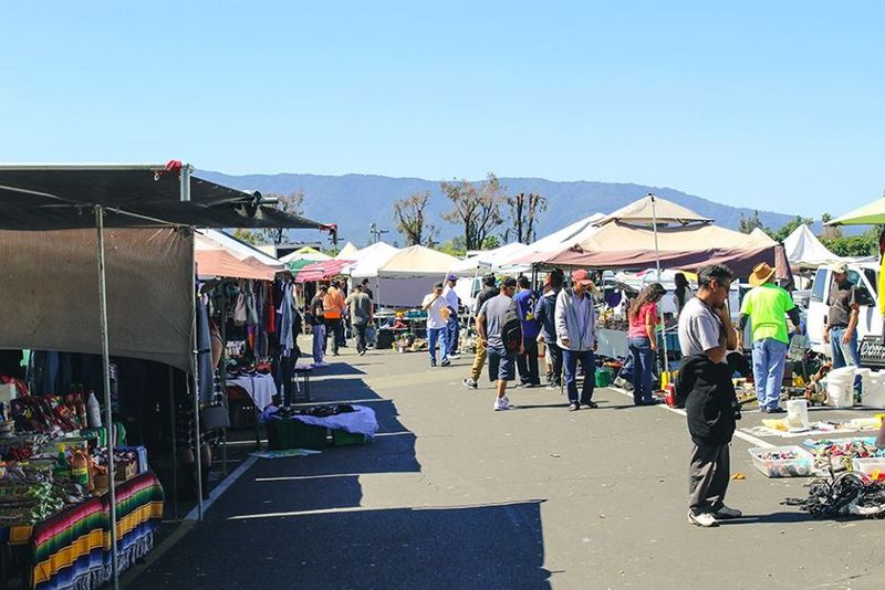 West Wind Public Markets