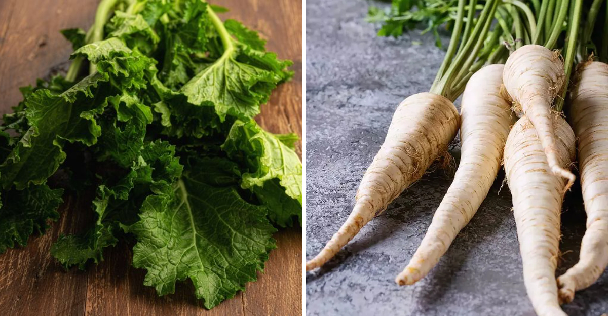 From Georgia Greens To Oregon Squash, 15 Veggies Healthier Than They Appear