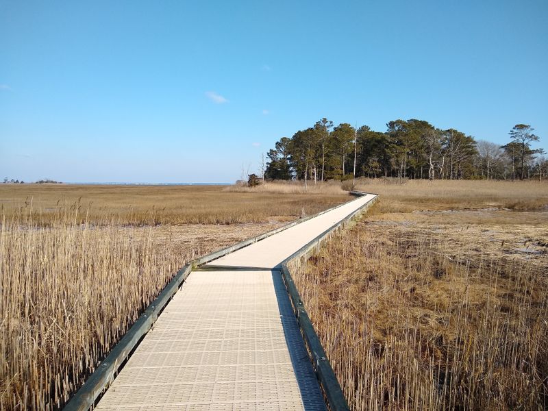 Burton Island Nature Preserve Loop
