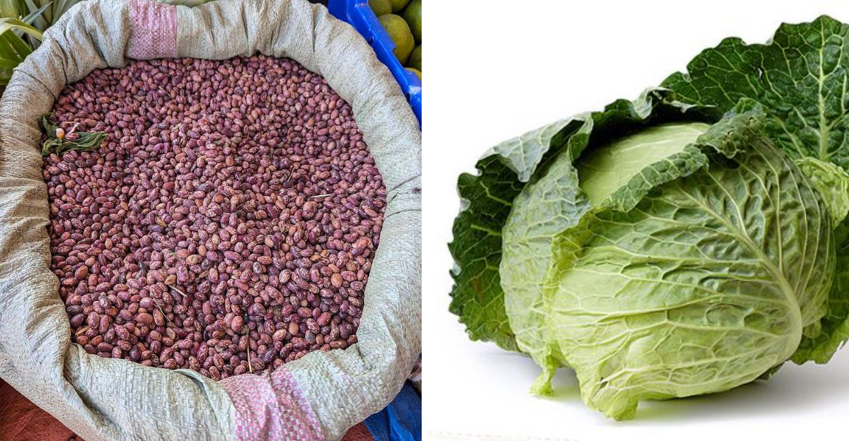 12 Budget-Friendly Foods We’ll Always Love, Regardless Of Income