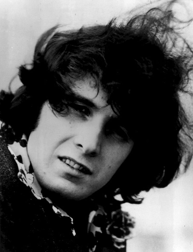 American Pie – Don McLean