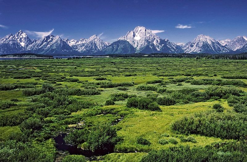 Grand Teton National Park