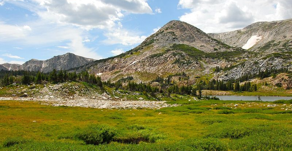 14 Must-See Spots To Experience Wyoming’s Stunning Fall Colors