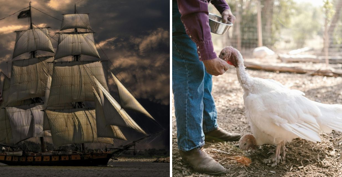 16 History Trivia Items That Will Immediately Make You Feel Like The Smartest Person In The Room