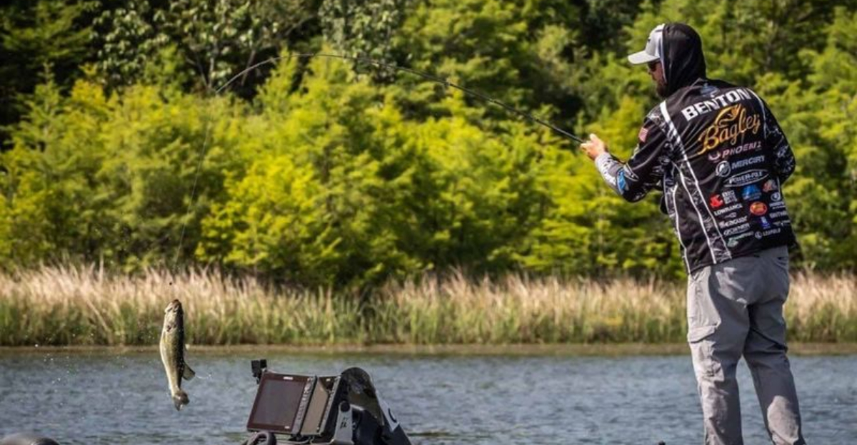 17 Best Fishing Towns Across Alabama Every Angler Should Visit