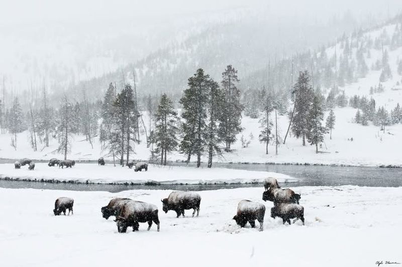 Yellowstone National Park, Wyoming, Montana, and Idaho