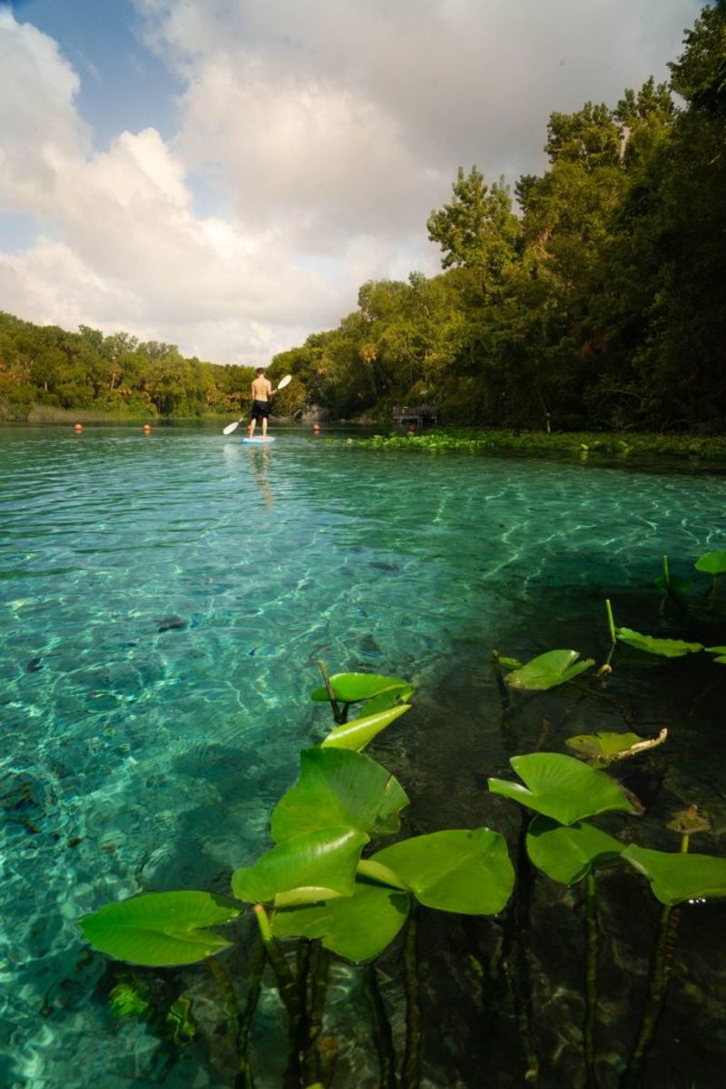 Alexander Springs