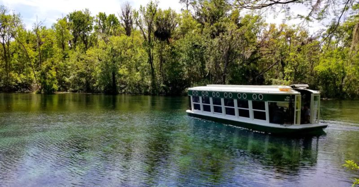 20 Central Florida Springs Which Promise That Perfect Healing Swim