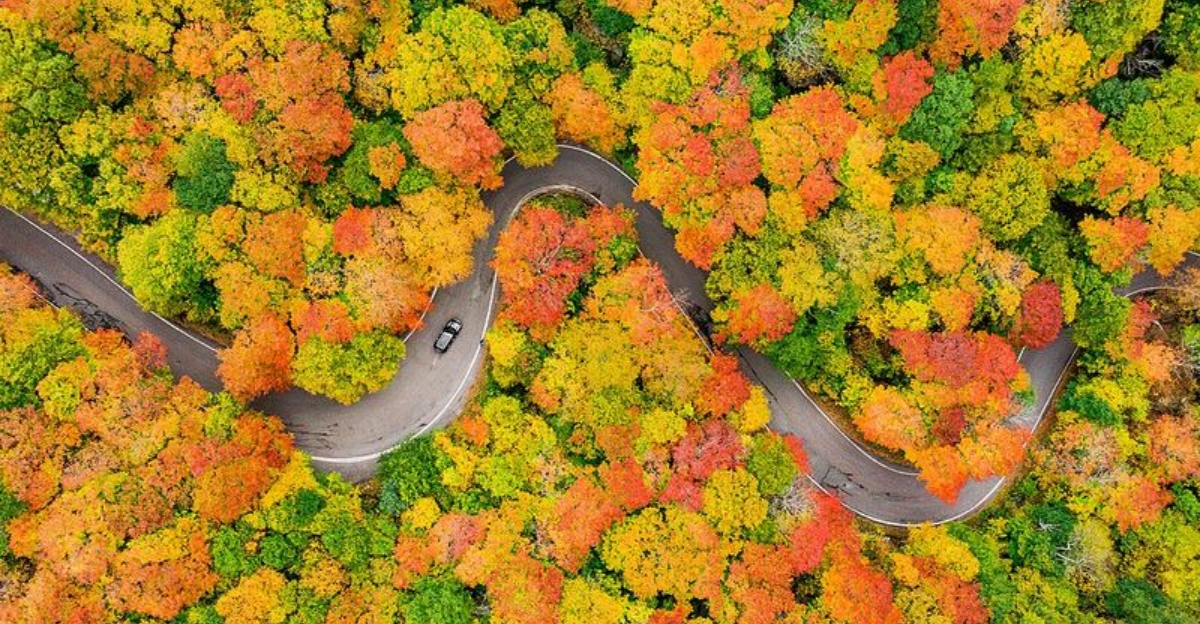 8 Highly Recommended Spots For Viewing Fall Foliage In The United States