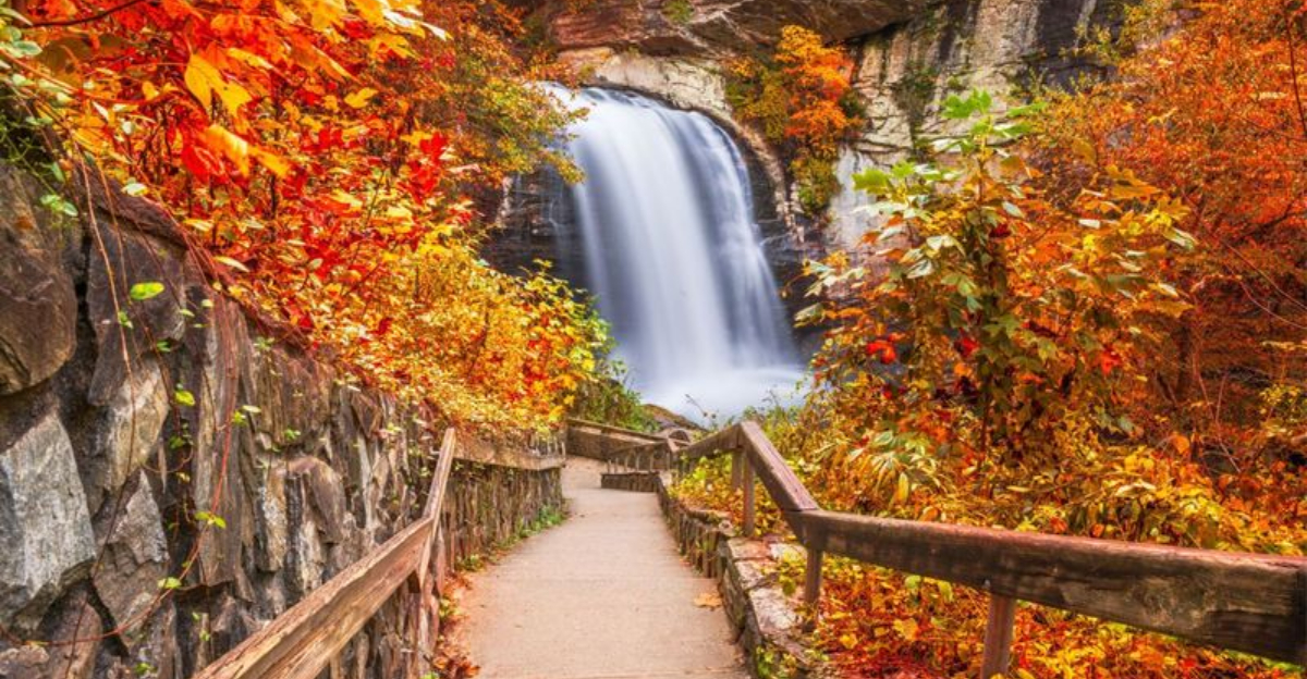 9 Breathtaking North Carolina Waterfalls To Chase This Fall