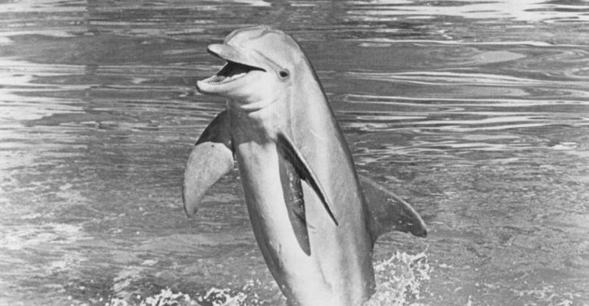 9 Unforgettable TV Animals That Made Us Smile for Years
