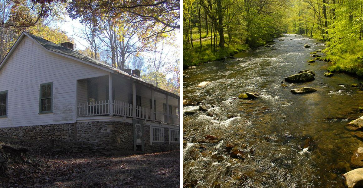 A Forgotten North Carolina Lumber Town Is Now An Abandoned Landscape With Haunting History And Prime Fishing