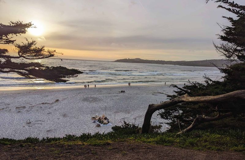 Dreamy, Dog-Friendly Shoreline