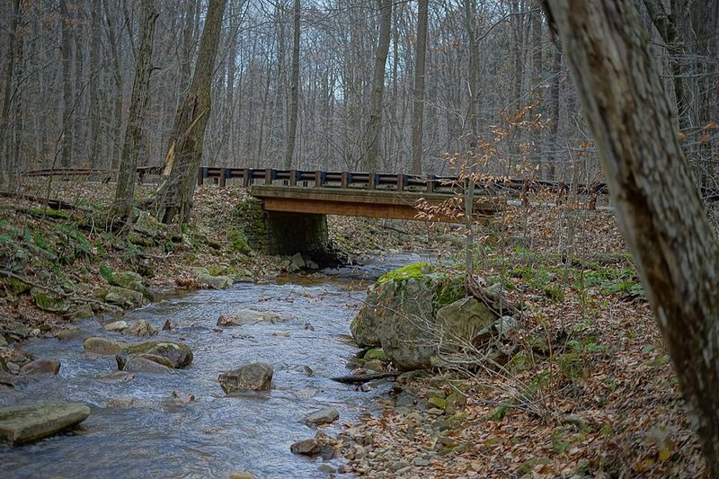 Grove Run Loop Trail for All Skill Levels