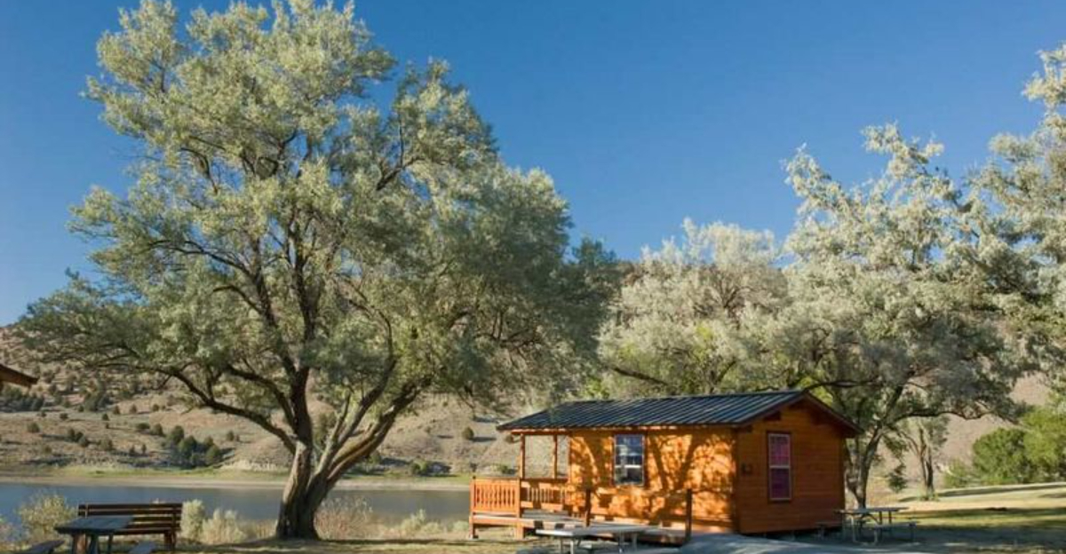 A Secluded State Park In Oregon That’s All Trees, Trails, And Zero Crowds
