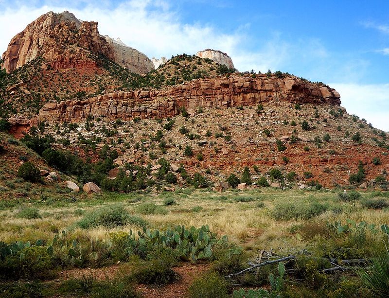 Zion National Park (Utah)