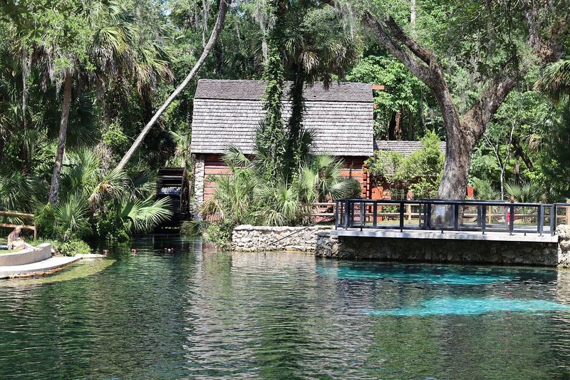 Juniper Springs