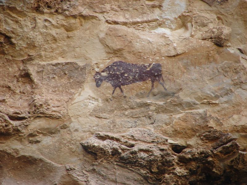 Cave Of Altamira