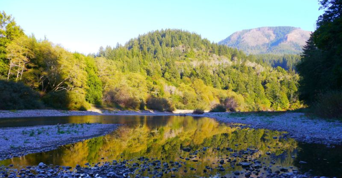 Alfred A. Loeb State Park Is Oregon’s Secret Forest Escape