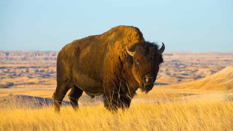 Badlands National Park, South Dakota