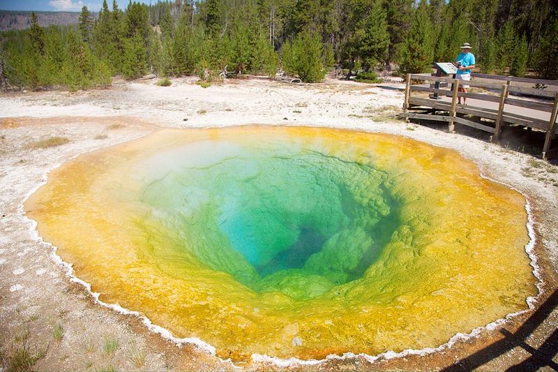 Morning Glory Pool, Yellowstone