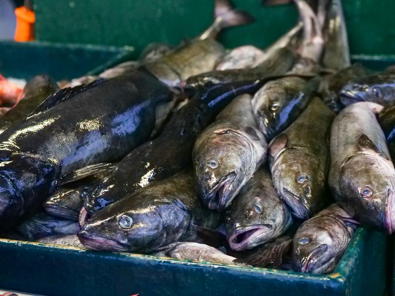 Cod