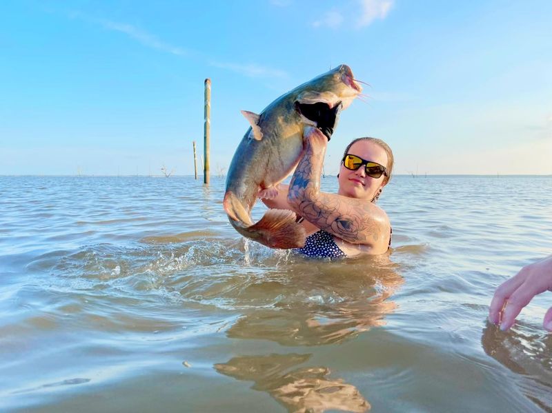 Catfish Caught the Hard Way—By Hand