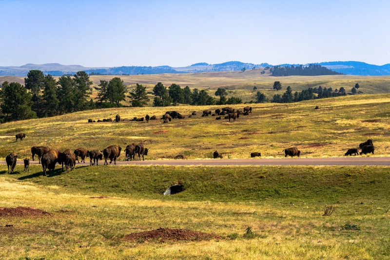 Wind Cave National Park, South Dakota