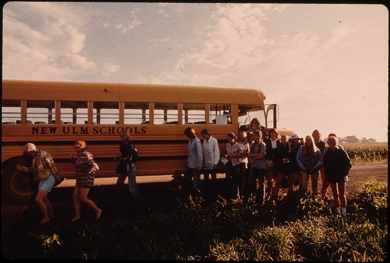 Arriving To Detassel Corn