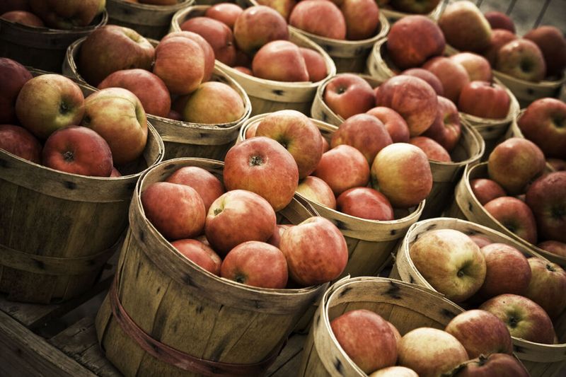 National Apple Harvest Festival