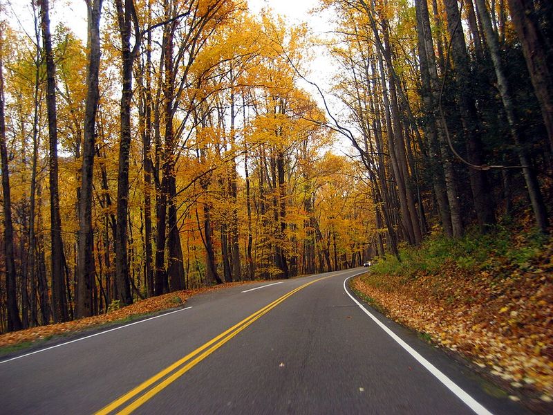 Great Smoky Mountains National Park, Tennessee And North Carolina