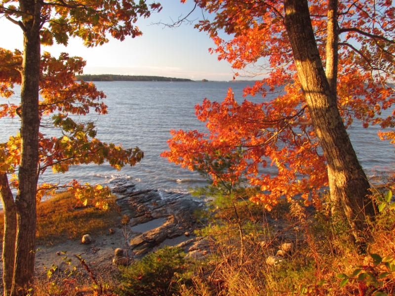 Wolfe's Neck Woods State Park in Freeport