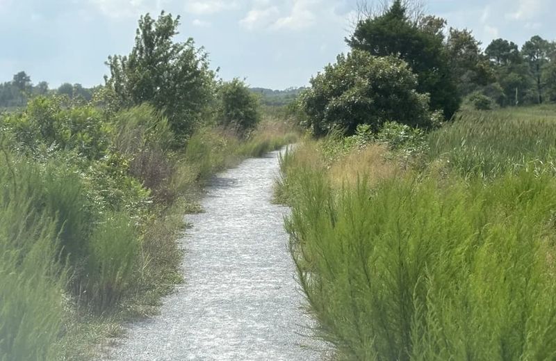 Pine Grove Trail