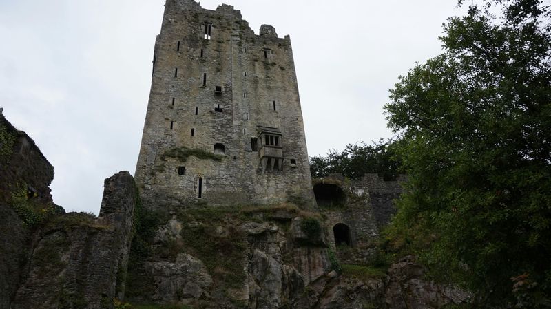 Blarney Castle (Ireland)