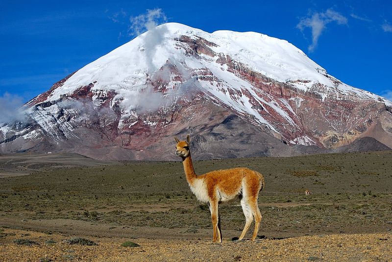 Ecuador - Chimborazo