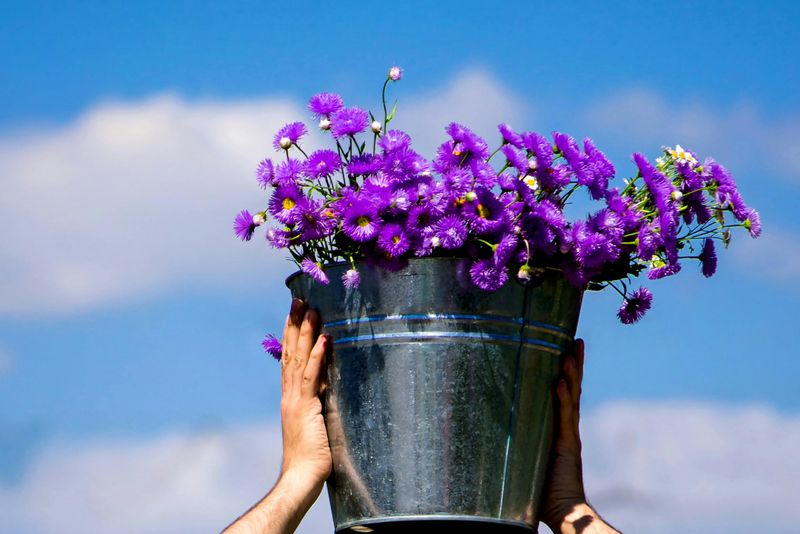 Flower Power